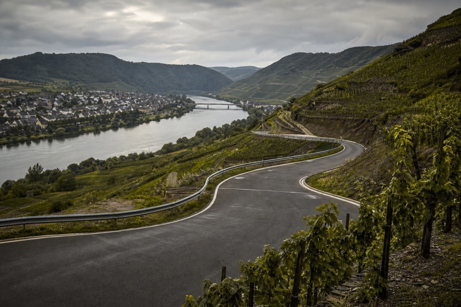 Moseltal mit terrassierten Weinbergen und Flussschleife